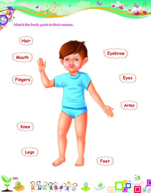 EVS Activity Worksheet