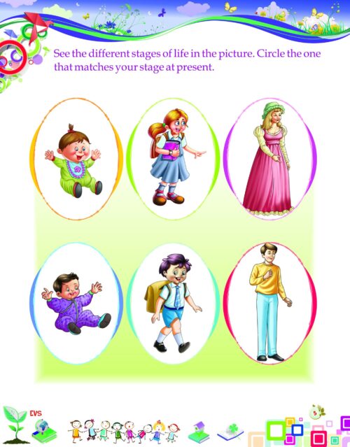EVS Activity Worksheet