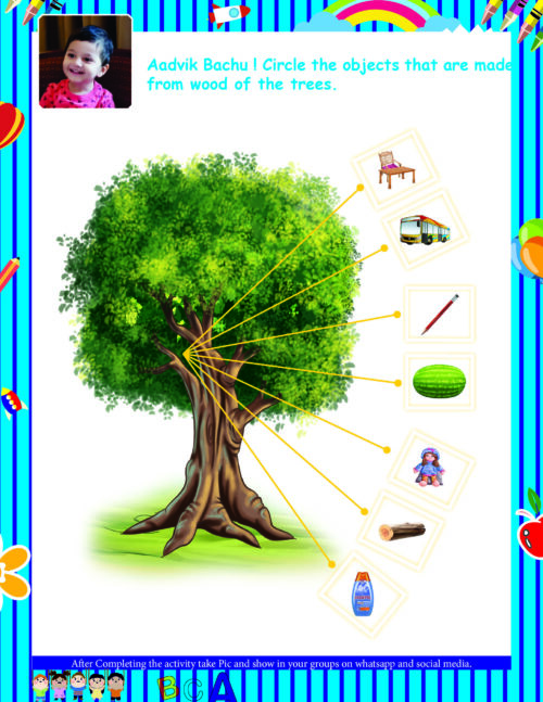 Customized Activity Sheet